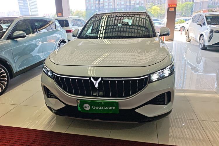 Used VOYAH FREE 2021 Four-Wheel Drive Standard Range-Extended Exclusive Luxury Package Front