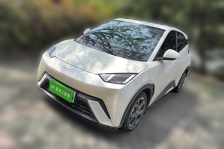 Used BYD Seagull 2025 305 km Free Version