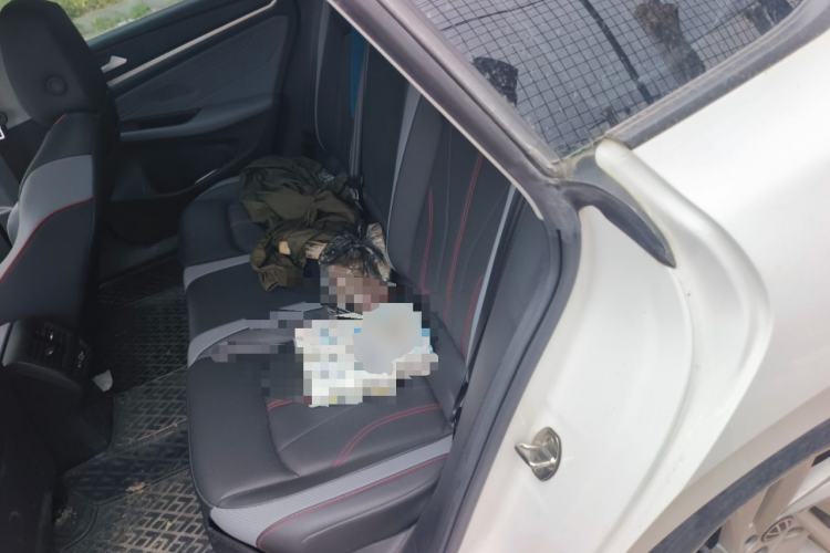 Used Volkswagen Lamando 2022 Lingdu L 280TSI DSG Spicy Edition Left Rear Seat