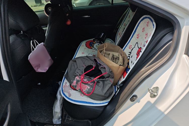 Used Toyota Levin 2021 185T CVT Luxury Edition Left Rear Seat