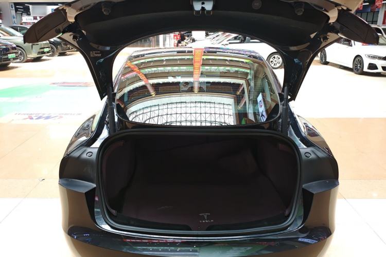 Used Tesla Model 3 2025 Model Long-Range Rear-Wheel-Drive Version
