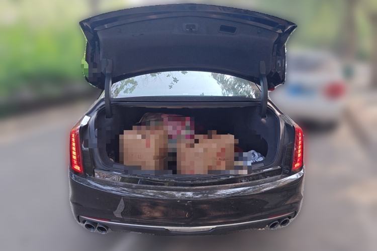 Used Cadillac CT6 2022 28T Luxury Edition