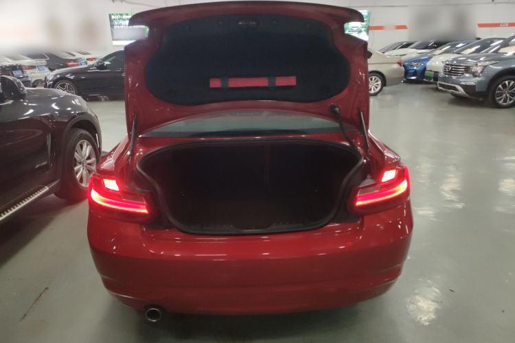 Used BMW 2 Series 2014 220i Leading Model