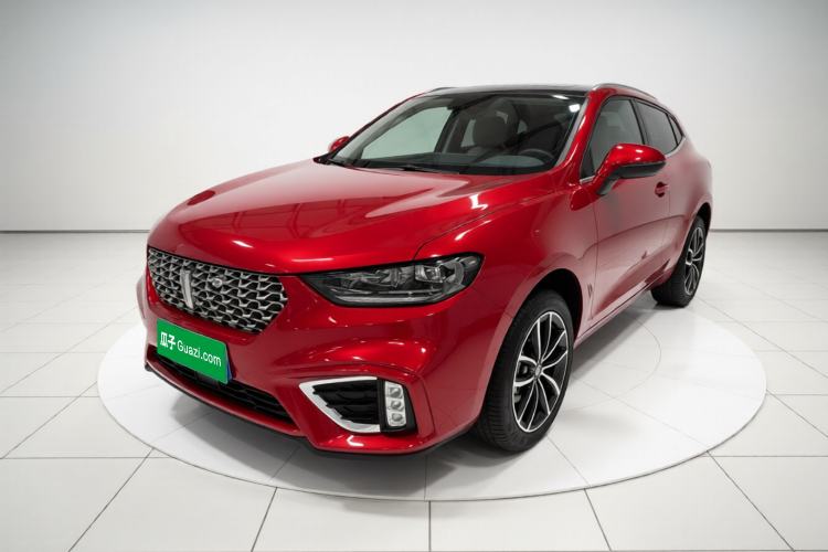 Used Wey VV5 2021 1.5T Two-Wheel Drive Smart Pioneer