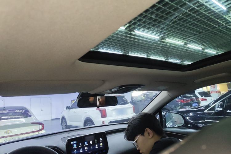 Used Hyundai Santa Fe 2019 380 TGDi TOP Automatic Two-Wheel Drive Flagship Version China VI Standard Headliner