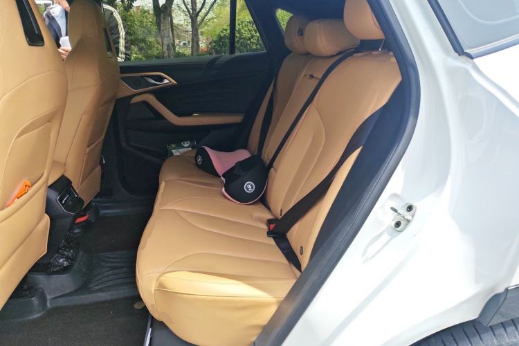 Used Roewe RX5 2023 1.5T Elite Edition Left Rear Seat