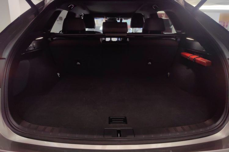 Used Lexus RX New Energy 2023 450h+ Four-Wheel Drive Enjoyment Edition Trunk