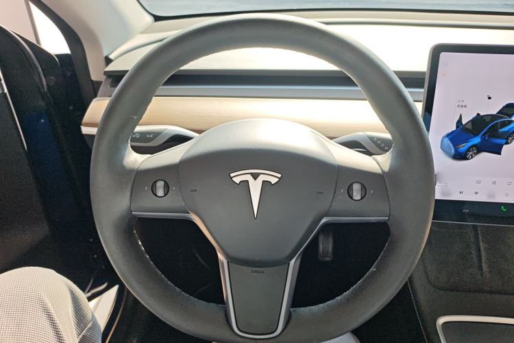 Used Tesla Model Y 2021 Standard Range Rear-Wheel Drive Version
