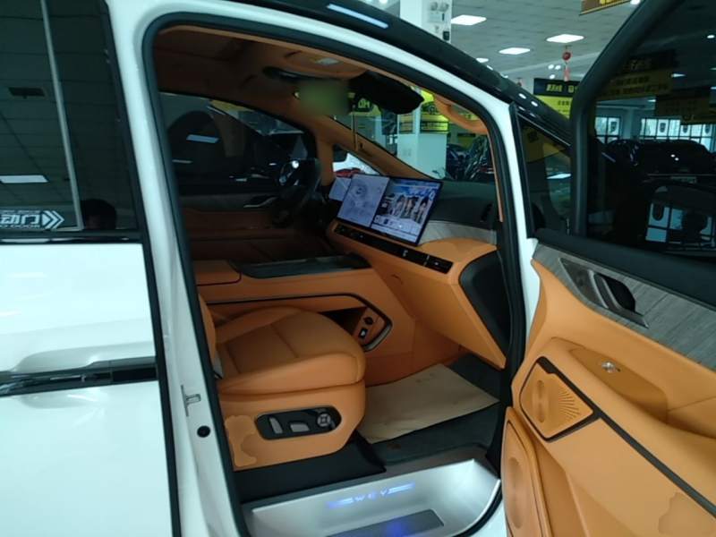 Used Wey Gaoshan 2025 Four-Wheel Drive Alpine 8 — 24