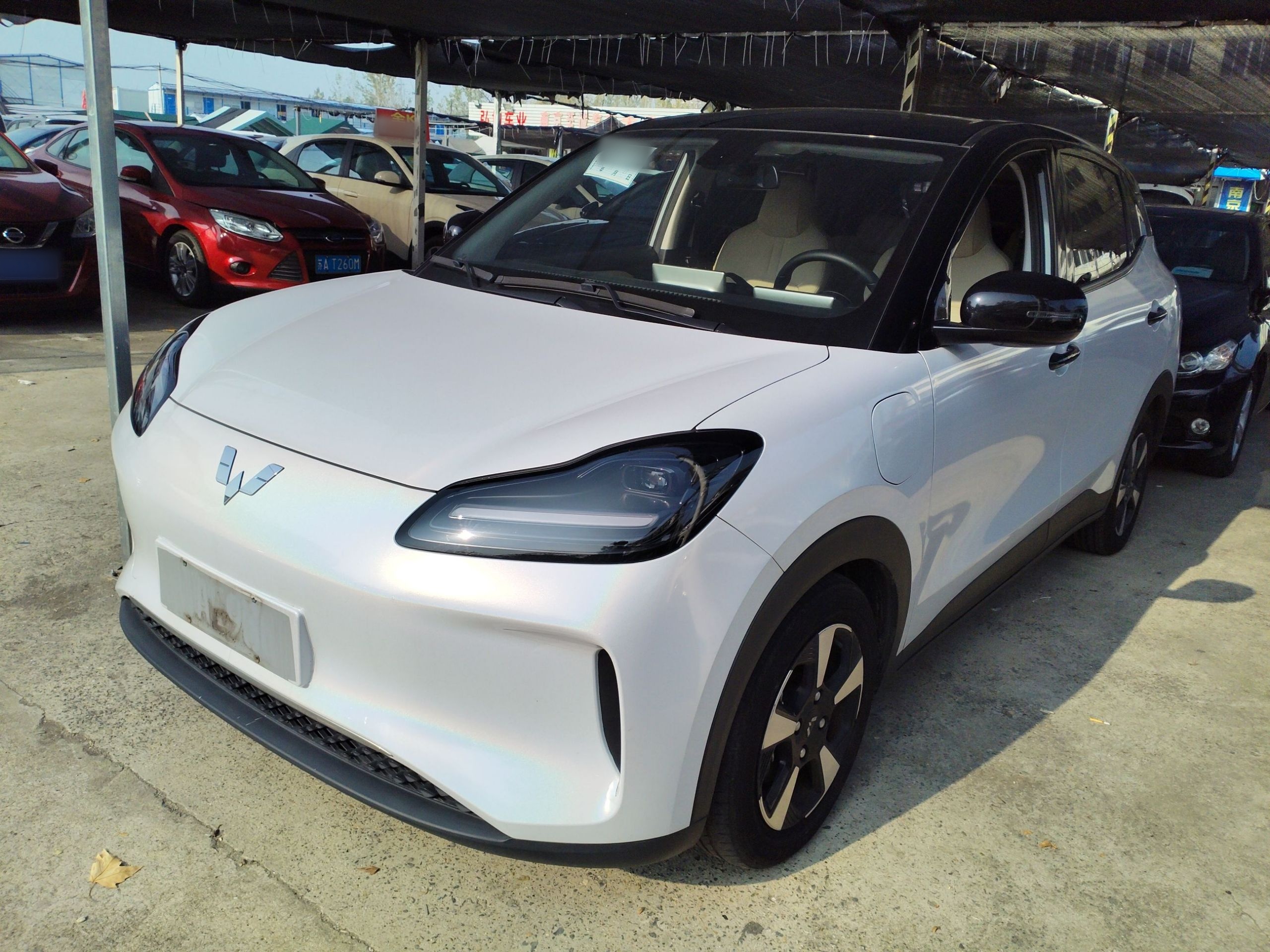 تحت مقدمة السيارة