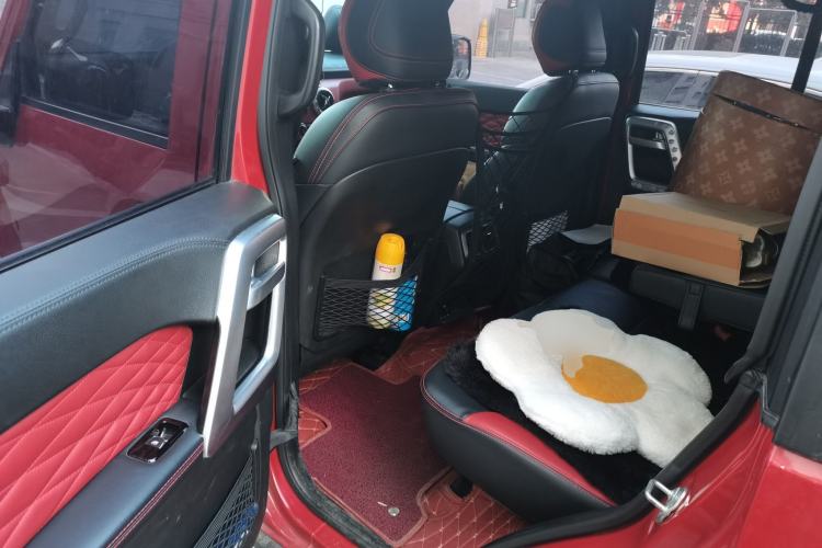 Used BAIC Off-Road BJ40 2019 PLUS 2.3T Automatic Four-Wheel Drive Premium Edition China VI Left Rear Seat