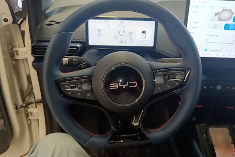 Used BYD Seagull 2025 Smart Drive Version 305 km Freedom Edition