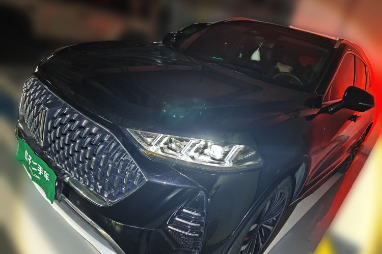 Used Wey Mocha 2021 2.0T Two-Wheel-Drive Ultra-Strong Version