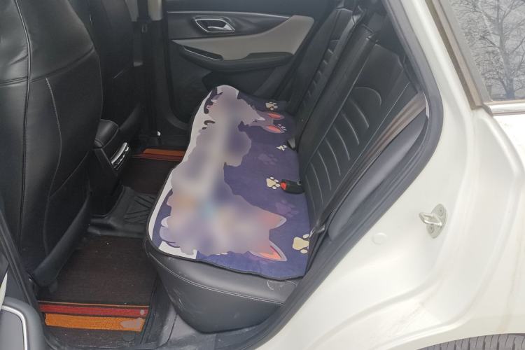 Used BAIC Beijing EU5 PLUS 2023 R500 Premium Edition
