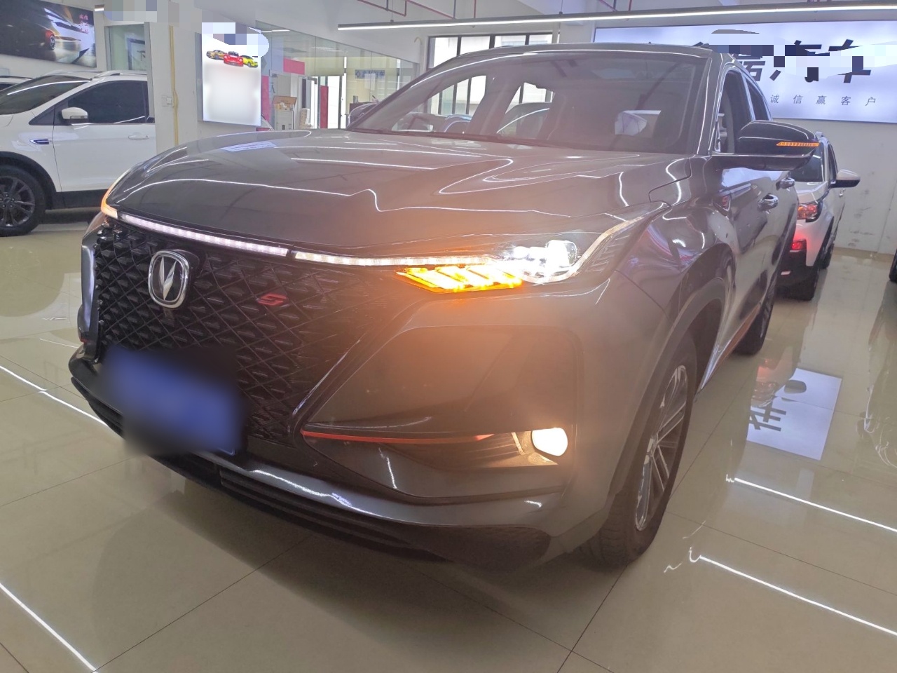 Parte inferior delantera