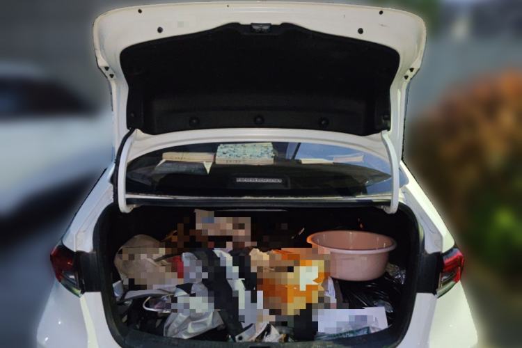 Used Toyota Corolla 2022 1.2T S-CVT Pioneer PLUS Edition Trunk