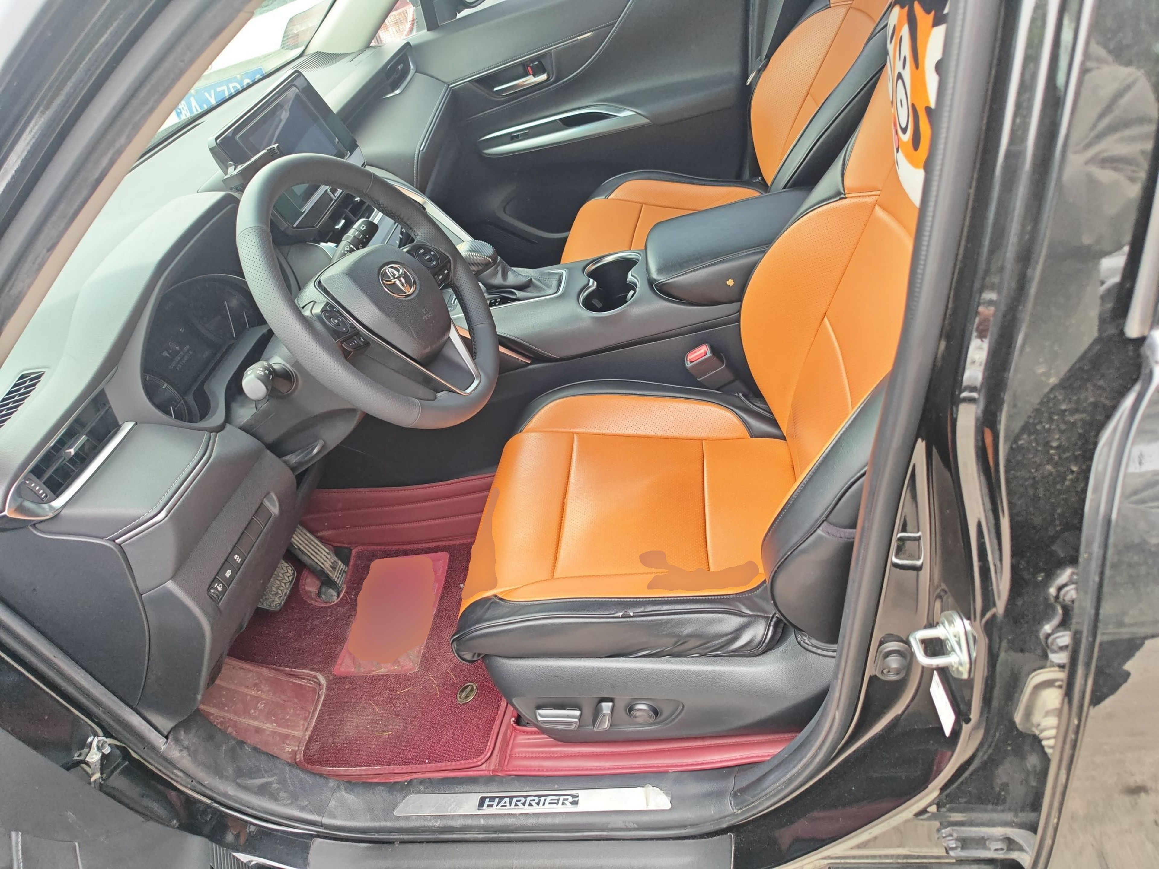 Interior delantero