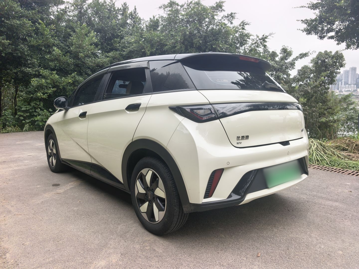 BYD Dolphin 2025 420km Free Edition — снимка 16