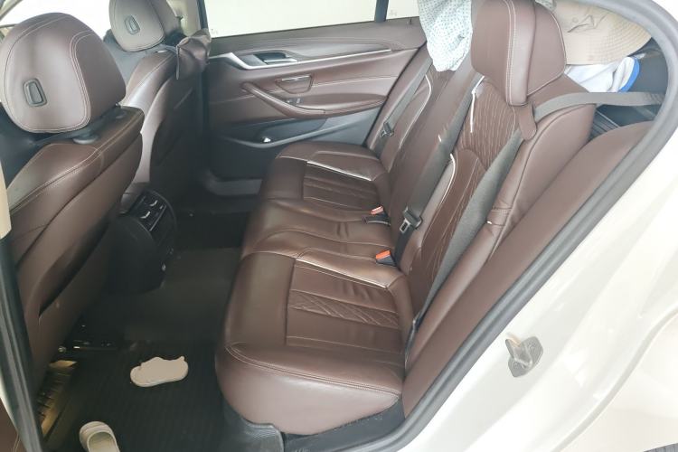 Used BMW 5 Series 2020 530Li Leading Edition Luxury Package
