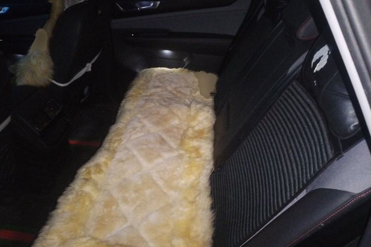 Used Volkswagen Teramont X 2022 380TSI Four-Wheel Drive Luxury Edition Left Rear Seat