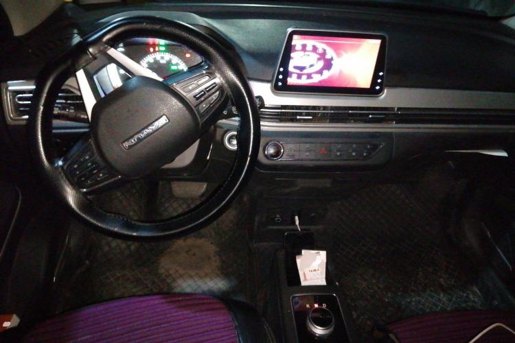 Used Dayun Yuehu 2022 30.66 kWh Two-Wheel Drive Standard Version
