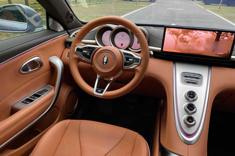 Used ORA Lightning Cat 2022 555 km Luxury Edition Interior 2