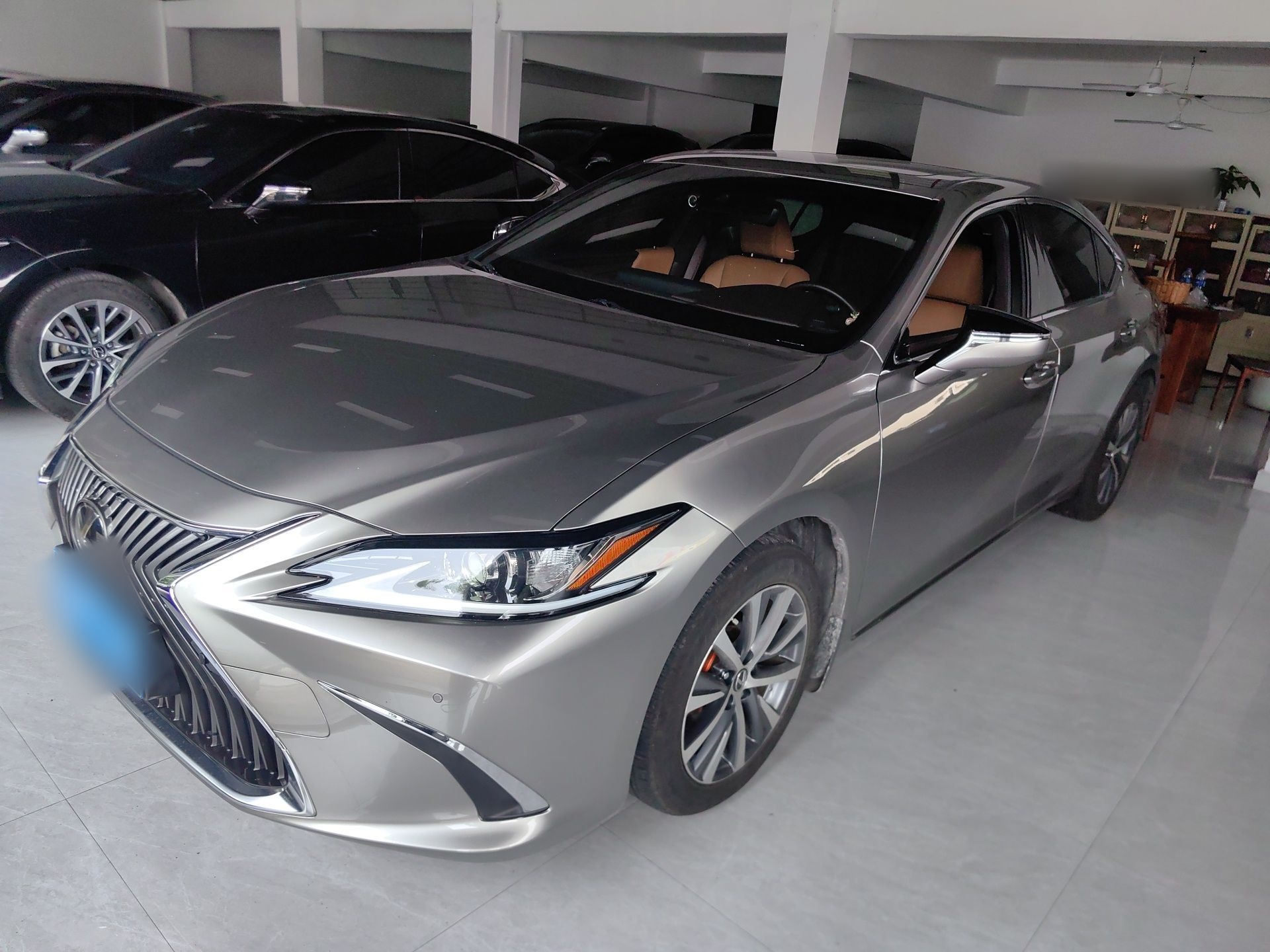 Parte inferior delantera