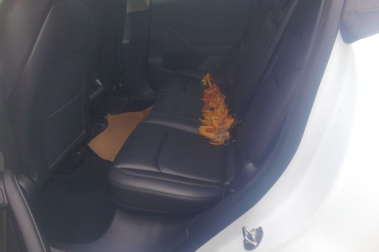 Used Tesla Model Y 2022 Revised Version Long-Range All-Wheel Drive Left Rear Seat