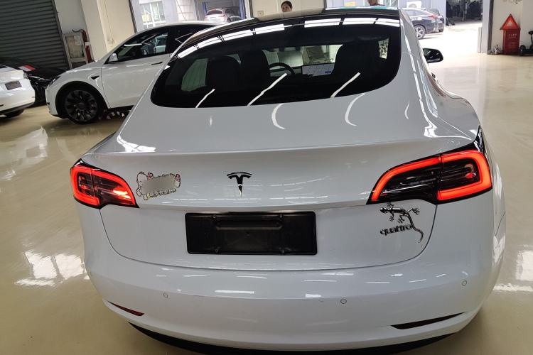 Used Tesla Model 3 2019 Standard Range Rear-Wheel Drive Upgraded Version (52 kWh) Rear