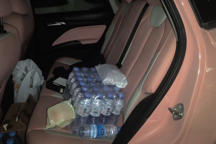 Used NETA V 2021 Witch Edition Left Rear Seat