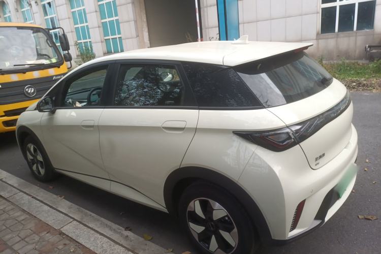 Used BYD Dolphin 2025 420km Free Edition
