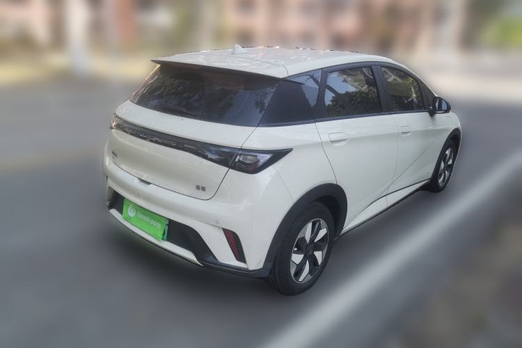 Used BYD Dolphin 2024 Honor Edition 420km Freedom Version
