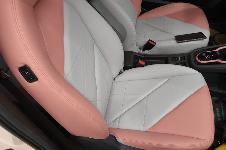 Used Chery QQ Little Ant 2022 Revised Version Sweet Pink Edition Half-Sugar Version Lithium Iron Phosphate 30.7 kWh 30 kW 301 km