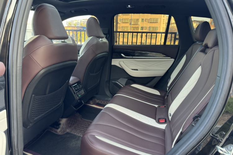 Used Geely Auto Monjaro L 2024 2.0TD High-Power Automatic Two-Wheel Drive Skyline Edition
