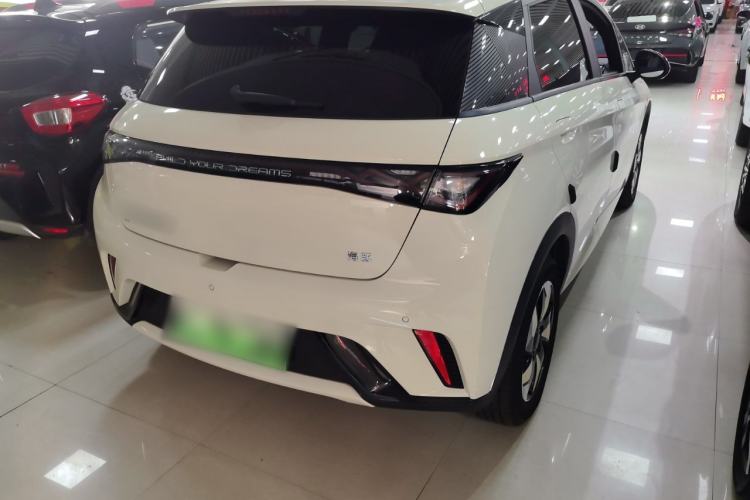 Used BYD Dolphin 2024 Honor Edition 420km Fashion Version

