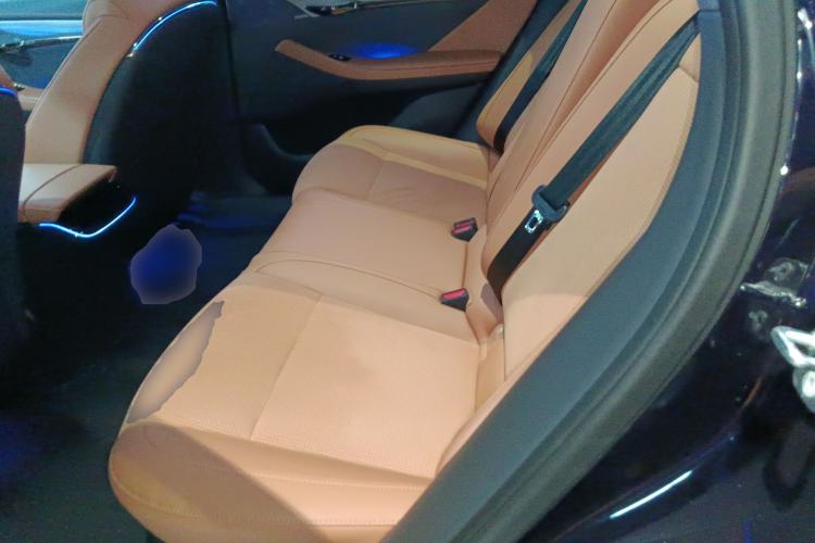 Used VOYAH PASSION 2024 PHEV Four-Wheel Drive Ultra-Long Range Flagship Model Left Rear Seat