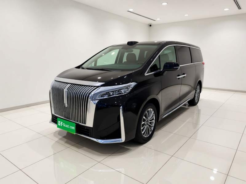 Used Wey Gaoshan 2025 Four-Wheel Drive Alpine 9