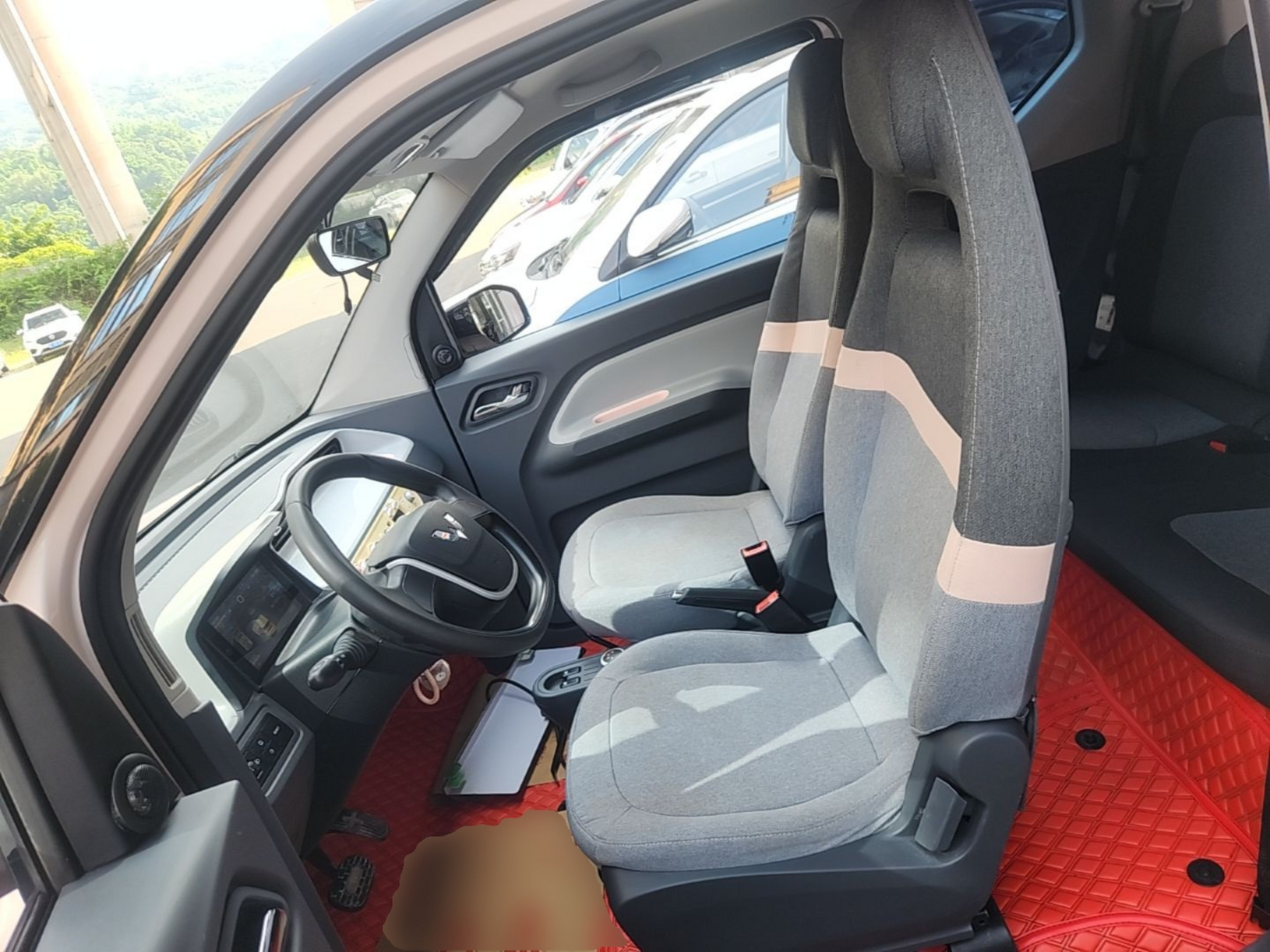 Interior delantero