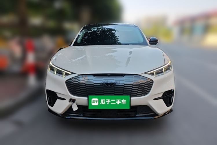 Used Ford Mustang Mach-E 2021 AION Y Plus Rear-Drive Luxury Edition (Long Range)
