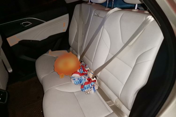 Used Haval Fierce Dragon Max 2023 1.5L Hi4 105 Four-Wheel Drive Elite Edition Left Rear Seat