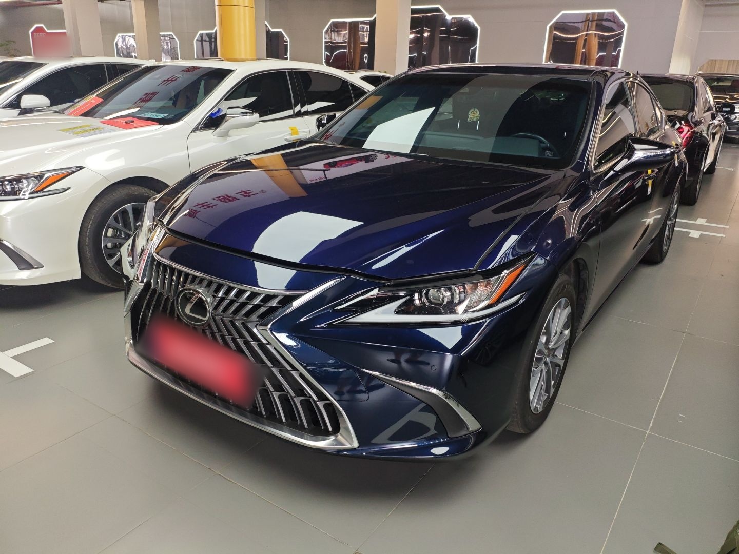 Parte inferior delantera