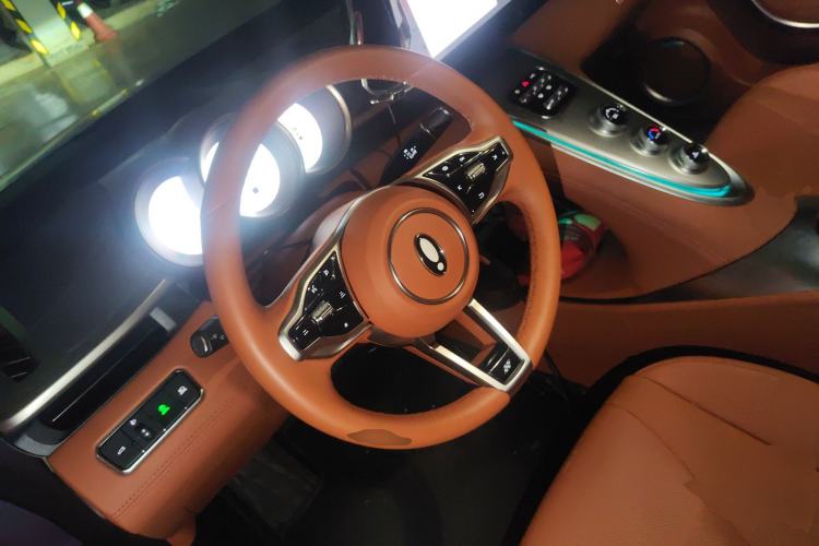 Used ORA Lightning Cat 2022 555 km Luxury Edition Steering Wheel