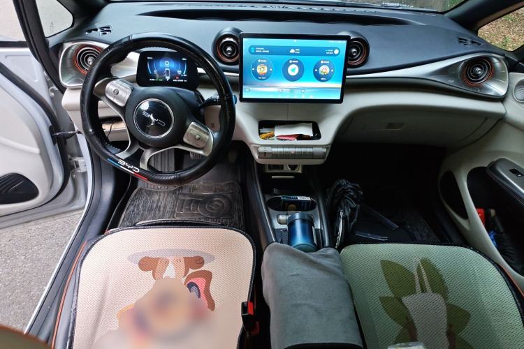 Used BYD Dolphin 2021 405 km Fashion Edition
