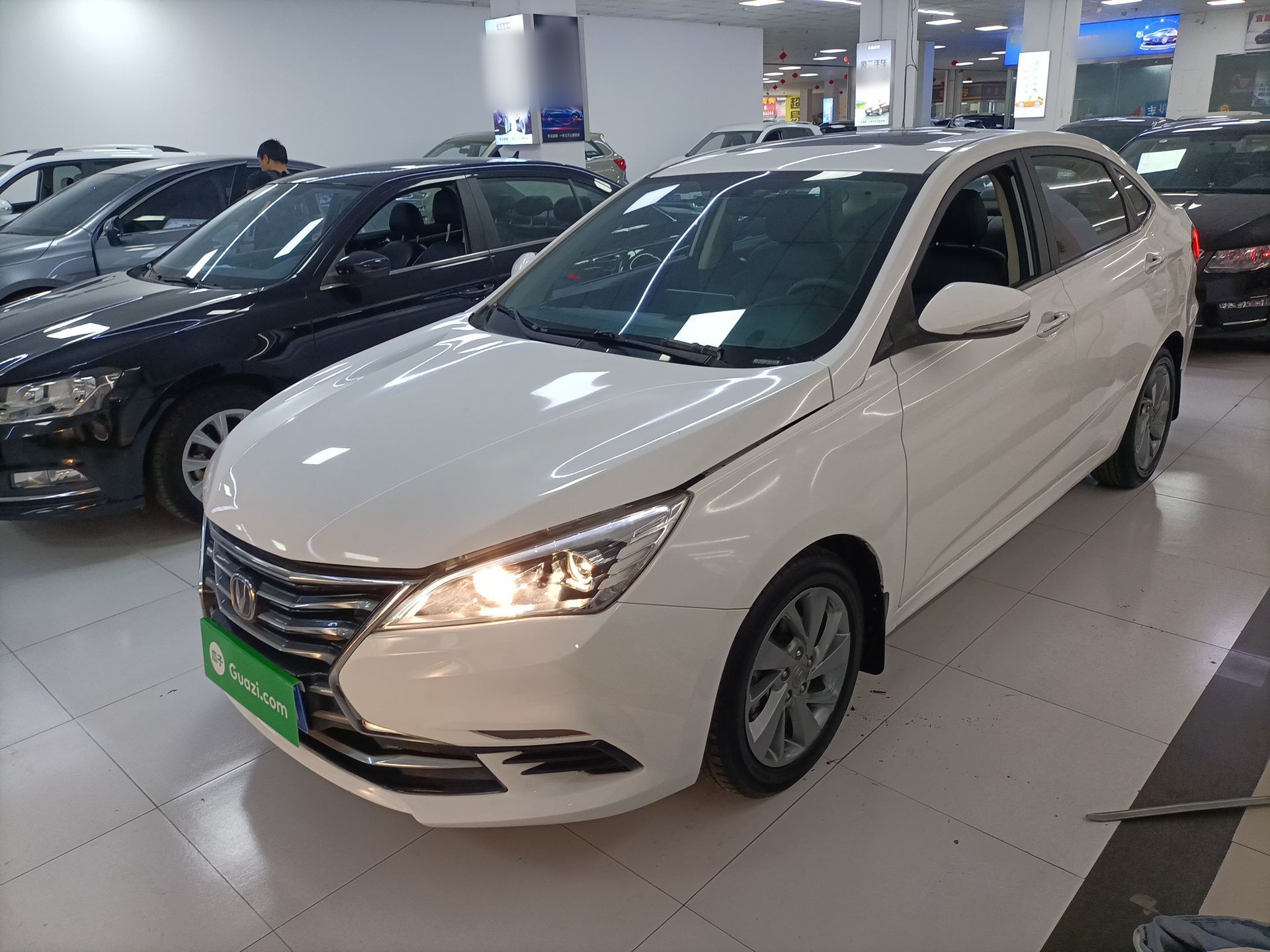 Parte inferior delantera