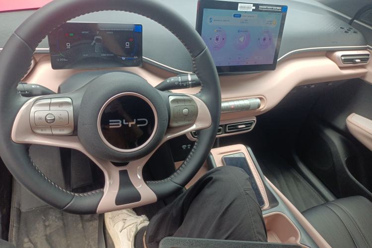 Used BYD Seagull 2024 Honor Edition 305km Freedom Version
