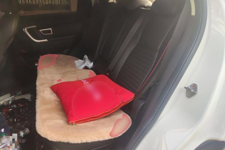 Used Land Rover Discovery Sport 2019 240 PS SE Dynamic Version China VI Standard Left Rear Seat