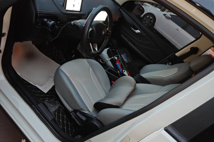 Used Electric House YOUNG Light XiaoXin 2023 408KM Pearl Edition
