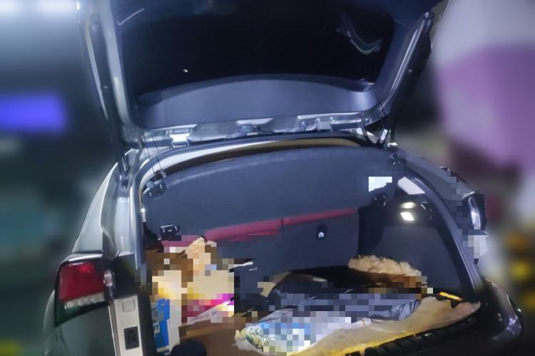 Used Lexus NX 2020 200 Front-Wheel Drive Freeline Edition China VI Standard Trunk