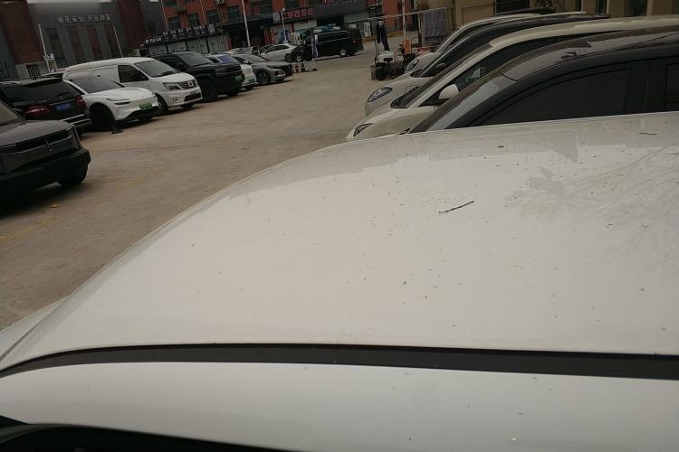 Used CHANGAN NEVO Lumin 2023 301km Honey Dew Edition Roof