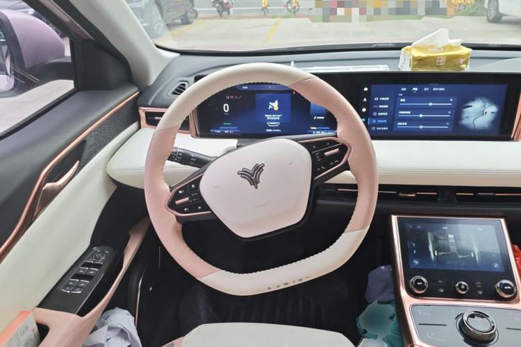 Used NETA U 2022 NETA U-Ⅱ 500 Lithium Iron Phosphate